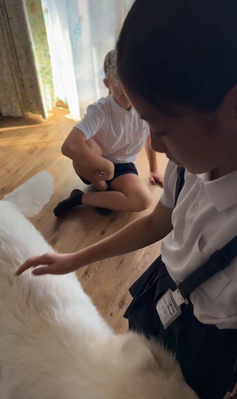 帰宅後のお子さんたちとまる君