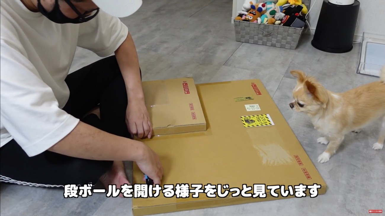 フォトパネルを飾った時のみるくちゃん