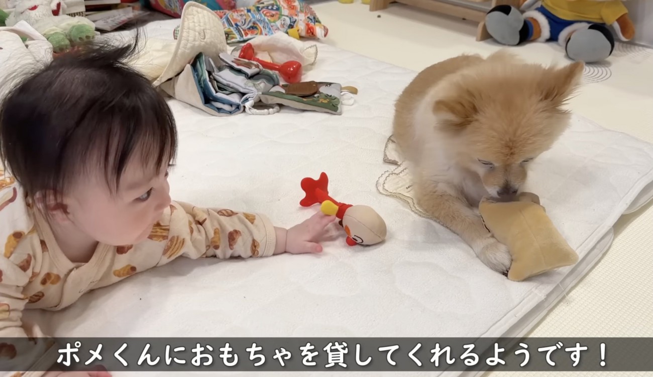 おもちゃはスルー