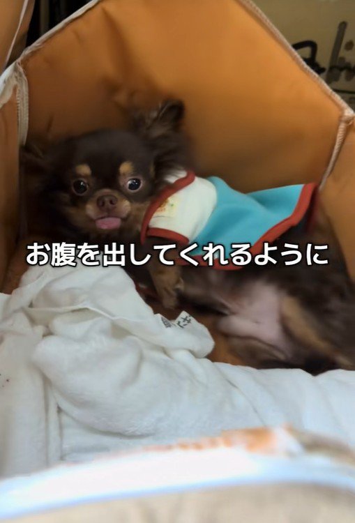 テープくんの変化2