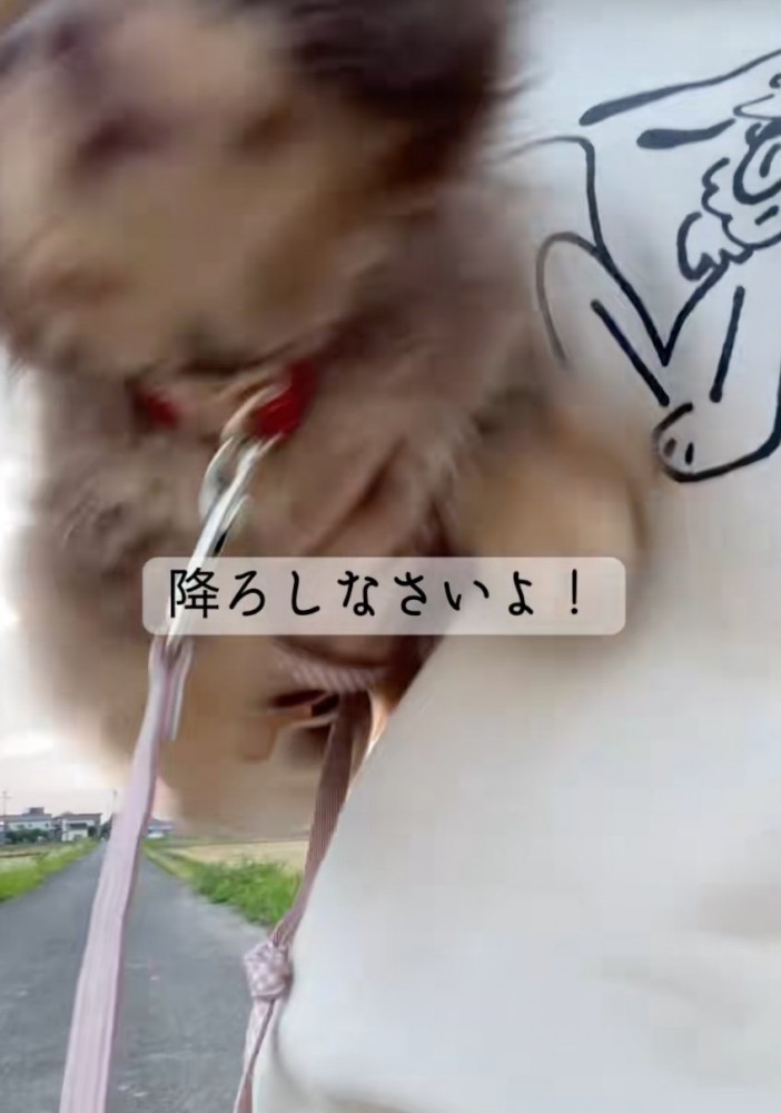 荒ぶる悠ちゃん