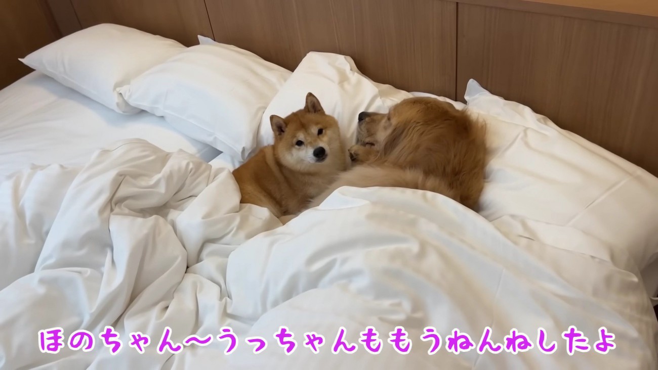 うにくんも隣に来た