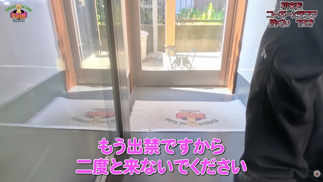 噛みついて出禁になった…