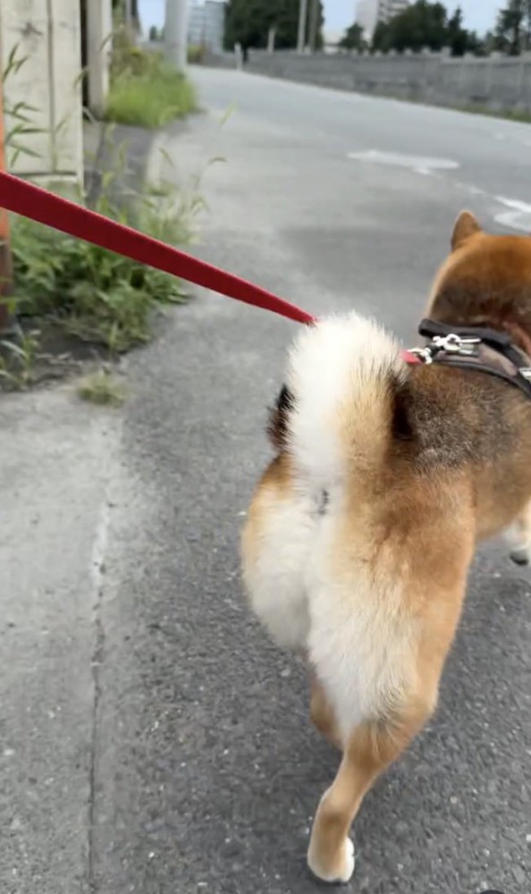 速すぎるスルー