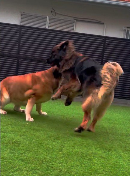 ワンプロは大迫力！！