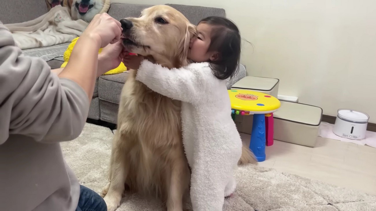 手伝うほのちゃんにホッコリ