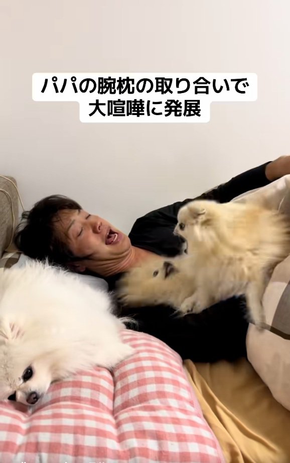 やめてほしいパパ