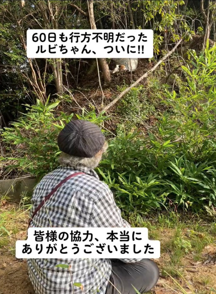 山の中から現れた犬