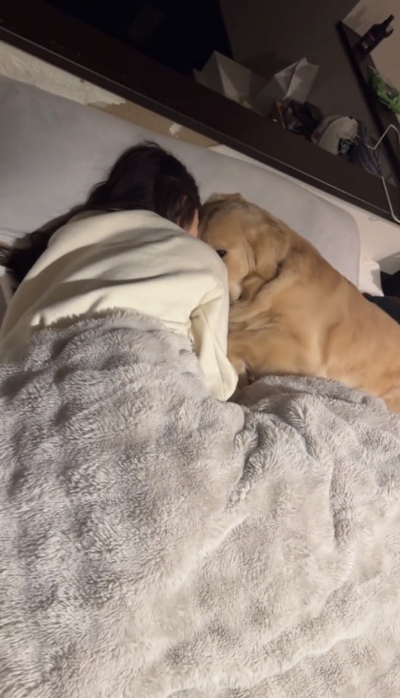 じっと見つめる犬と顔を寄せる人