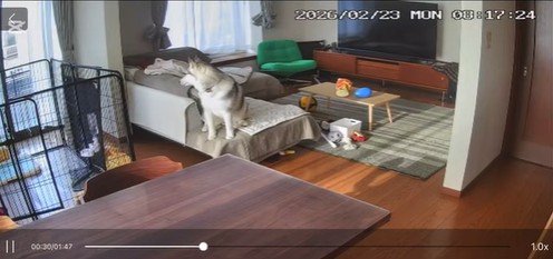 「本当に誰もいないの？」