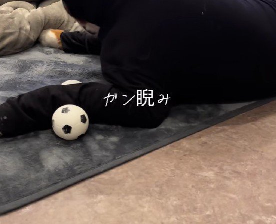 ピチピチ服を着せてみた