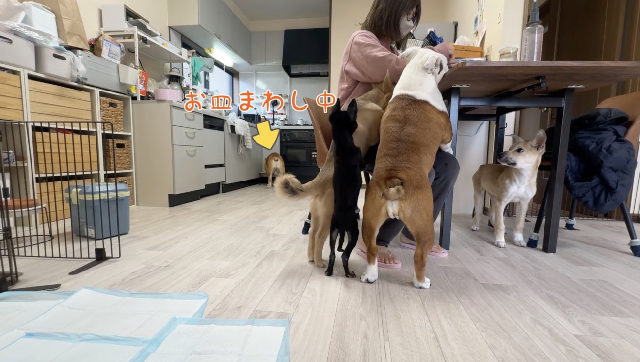 みんなに幸あれ