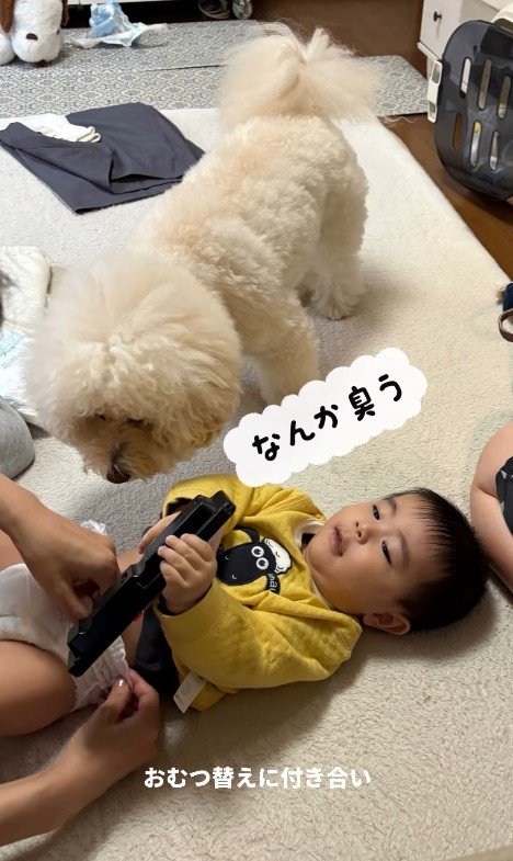 孫を預かった時のチャイちゃん8