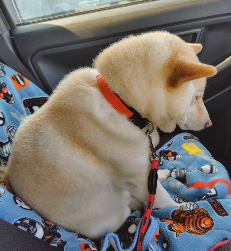 居眠り