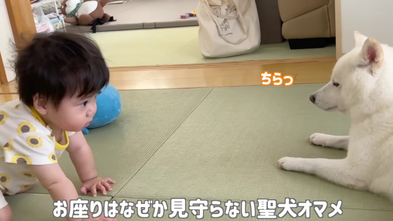 チラチラと横目で確認