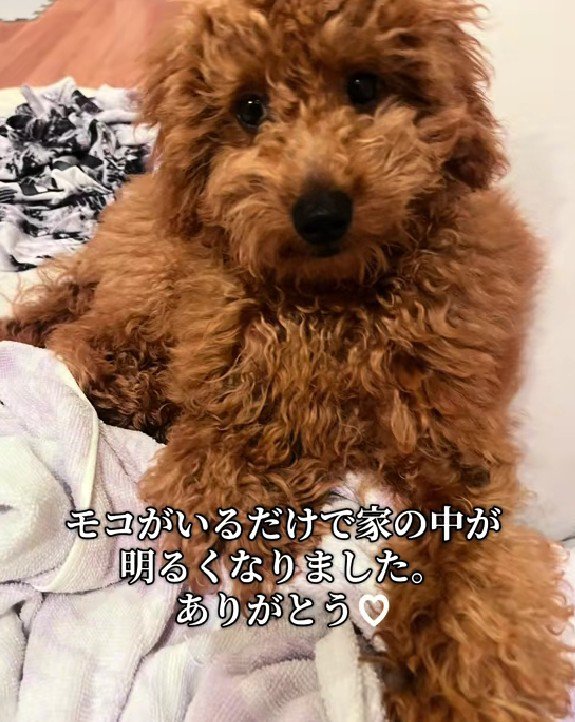 家の中が明るくなる存在♪