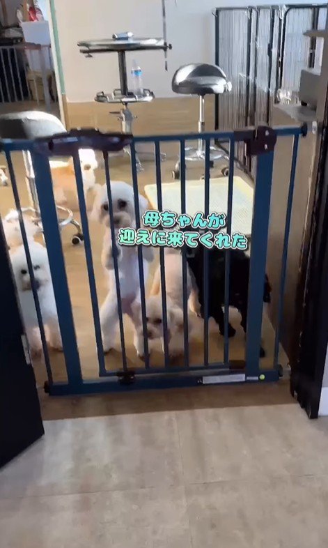 はるちゃん＆なつちゃんのお迎え3