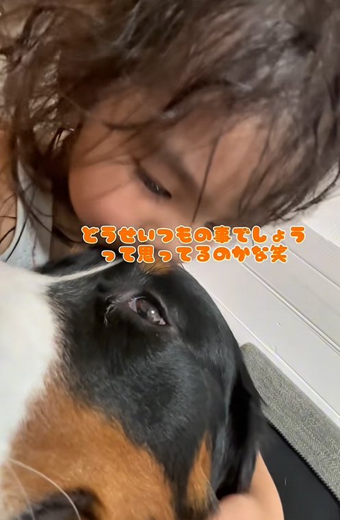 大型犬にキスする子供