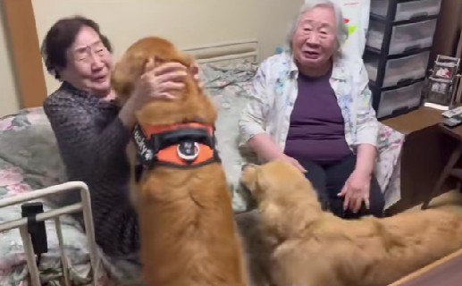 大喜びでおばあちゃんたちに挨拶