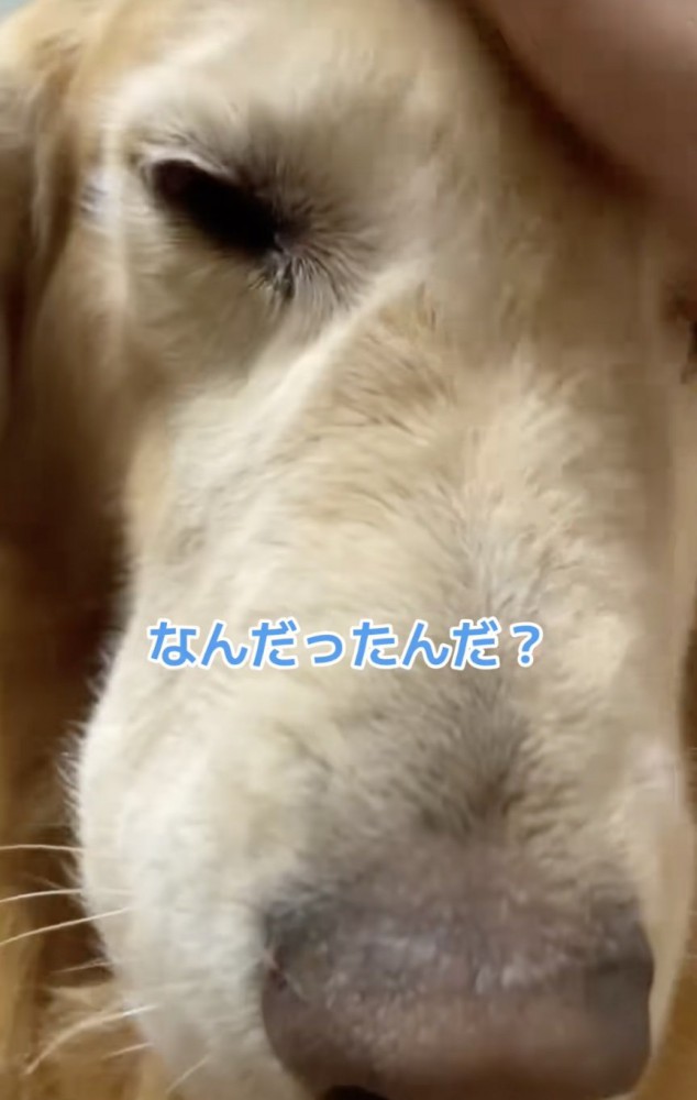戸惑いを隠せないジャンボさん