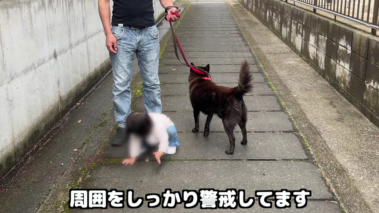 常に周囲を警戒