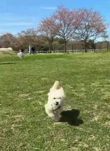 健気な姿にキュン♡
