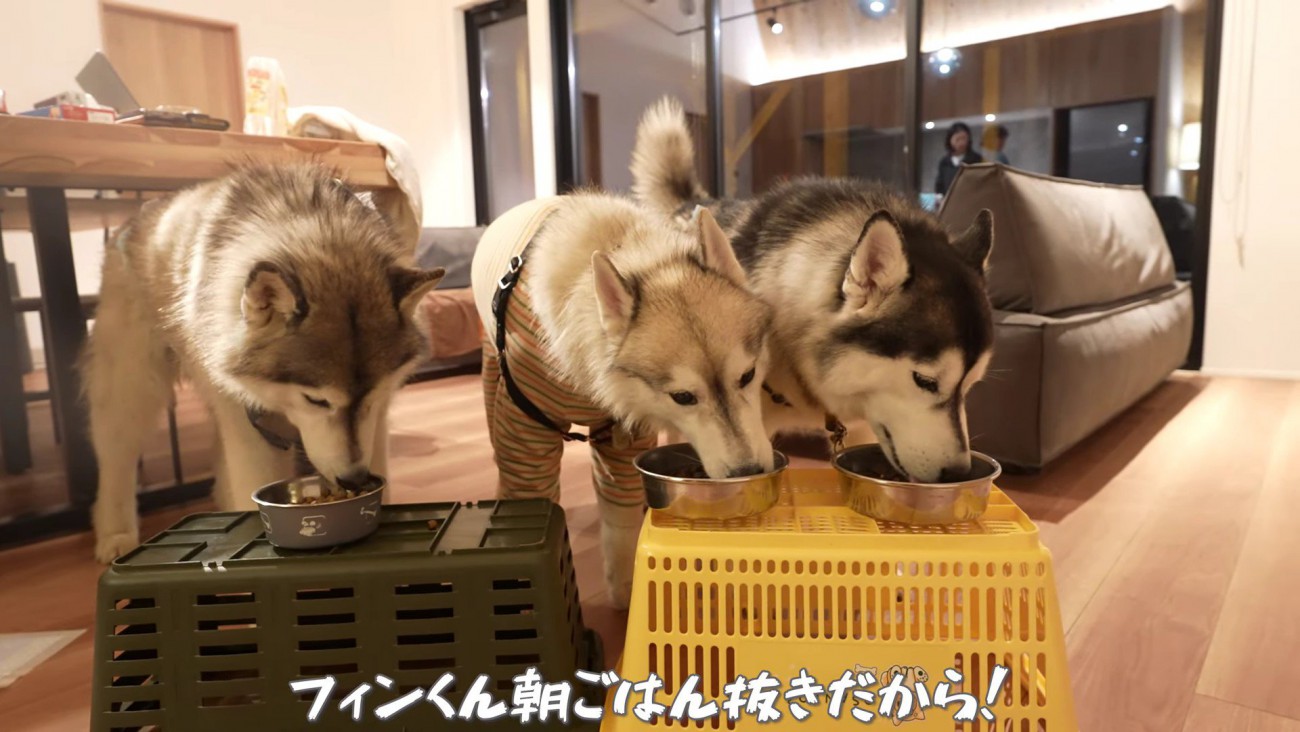 宿での夜ごはん