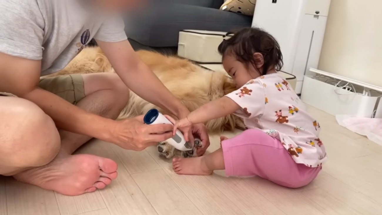 お手伝いするほのちゃん