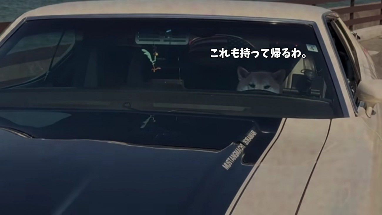 大満足のおもちちゃんでした♡