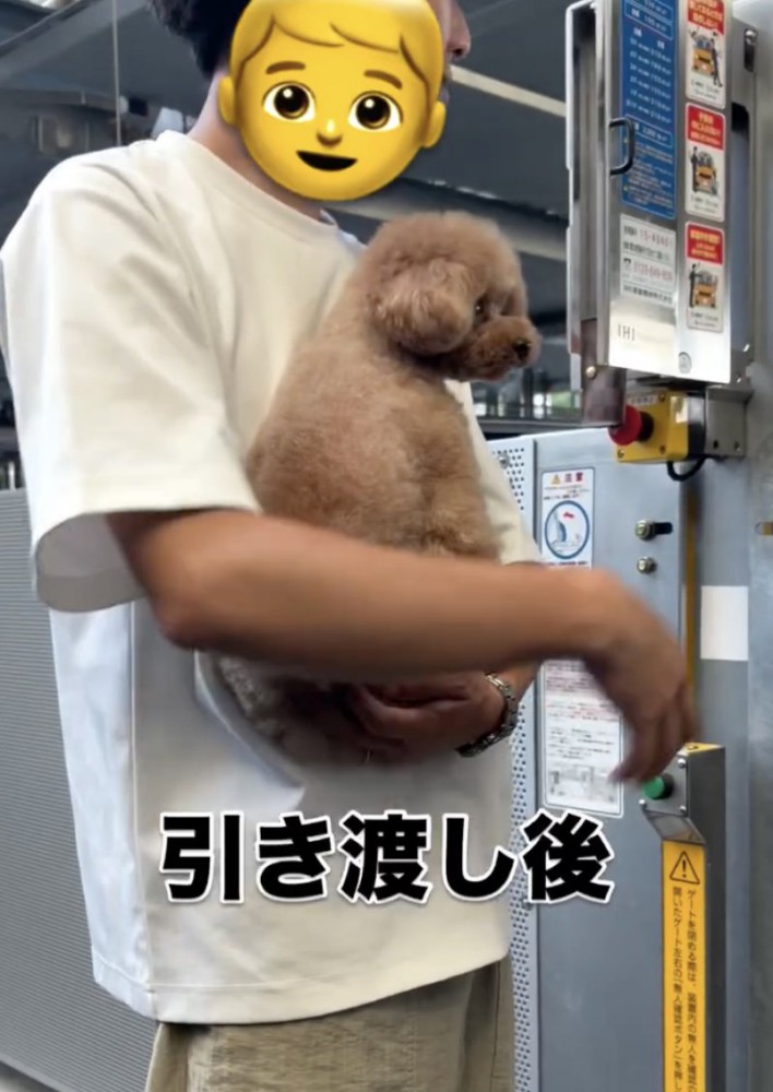 パパに抱っこされたら、ケロッとしてます