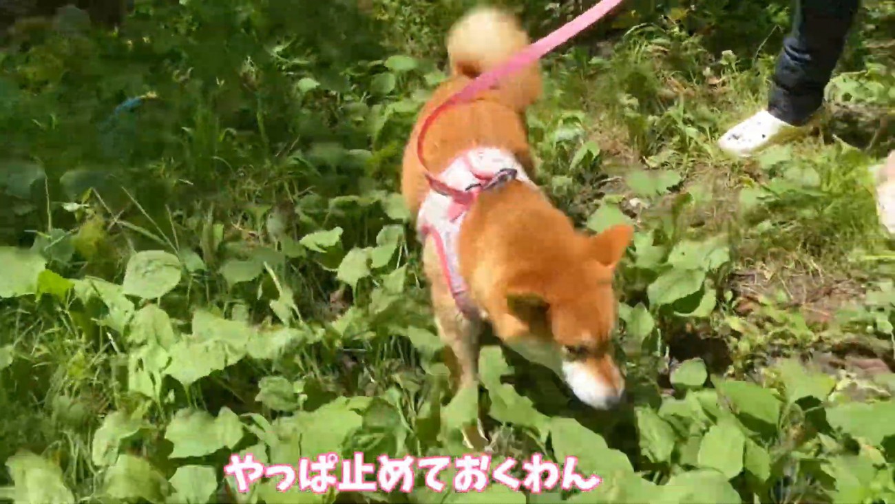 「やっぱ帰ろ～っと」