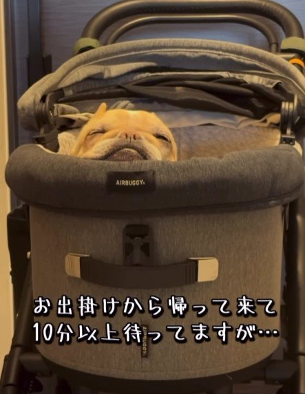 「また忘れられた…」