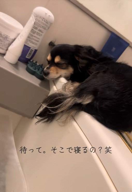 また眠ってしまいました♡