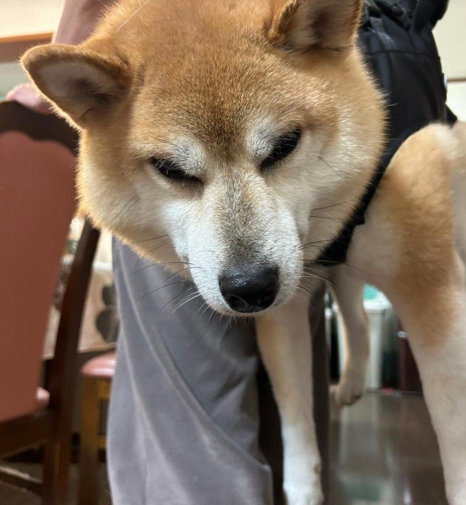 冷めた目をしています