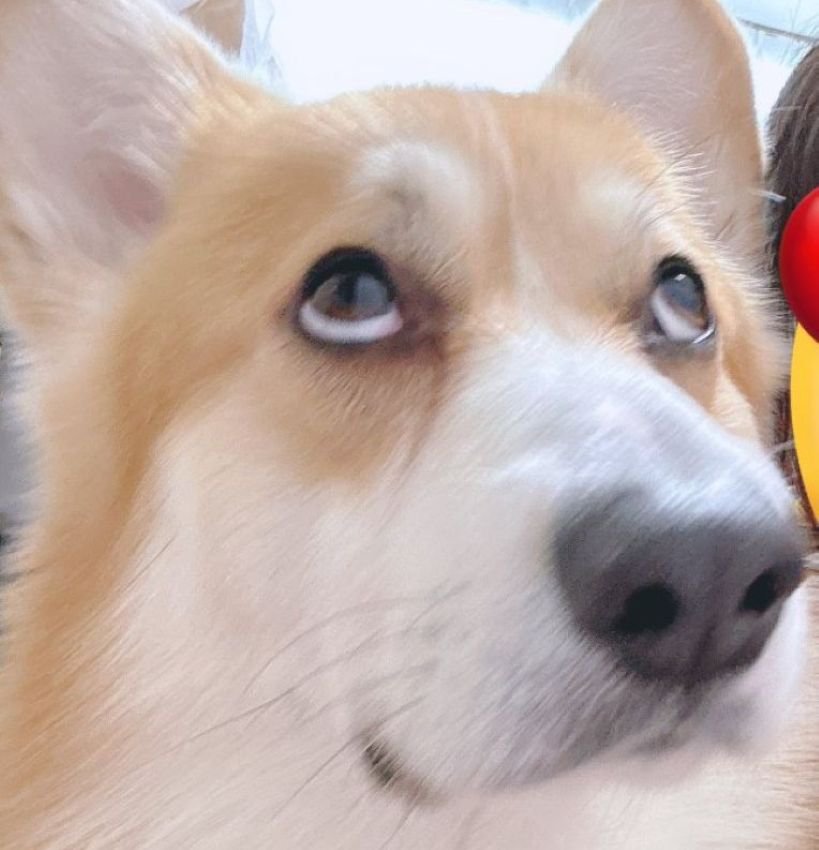 これはこれで愛おしい（笑）