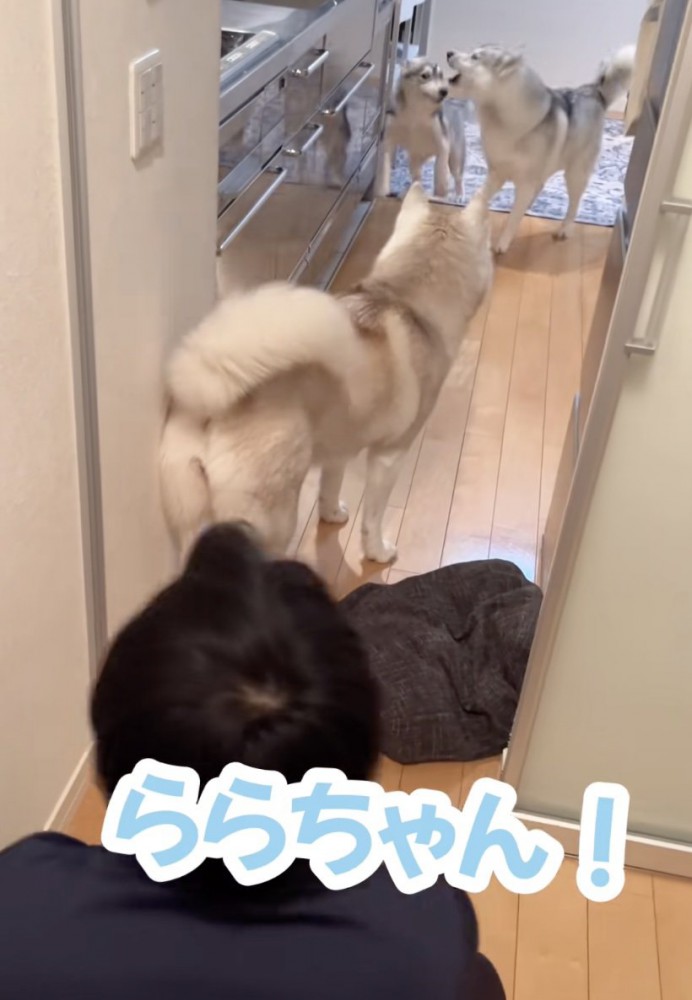 ららちゃん「すぐそっち行く！」