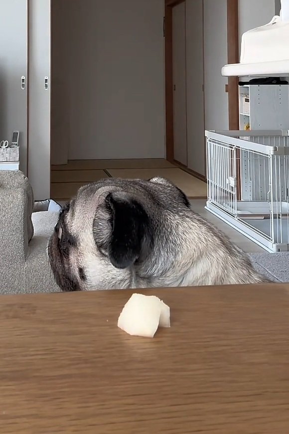 考えるぽこちゃん