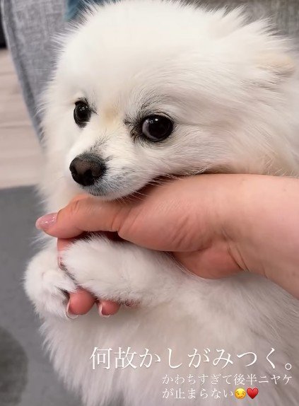 「これでおしまいね？」