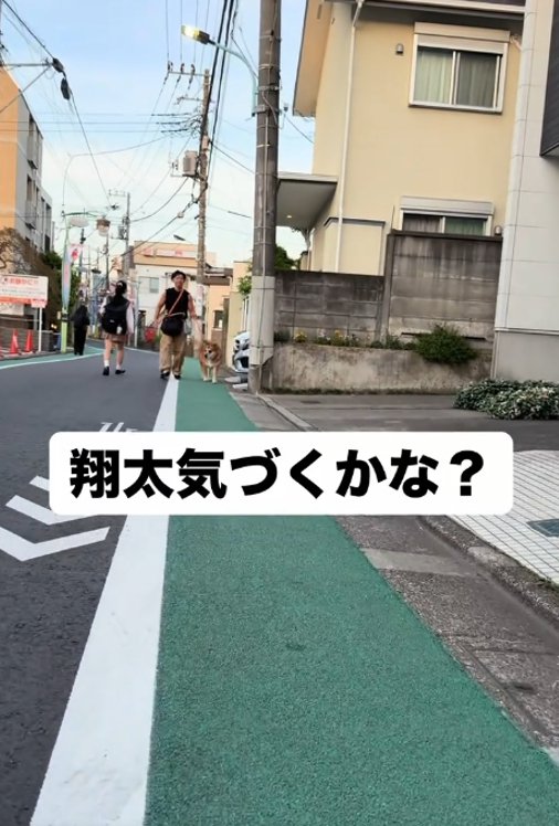 歩く犬