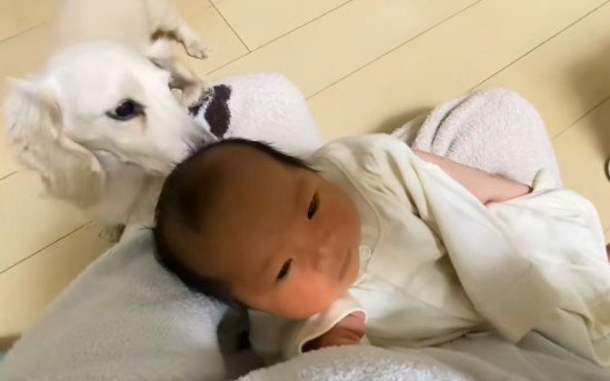 可愛い弟も…♡