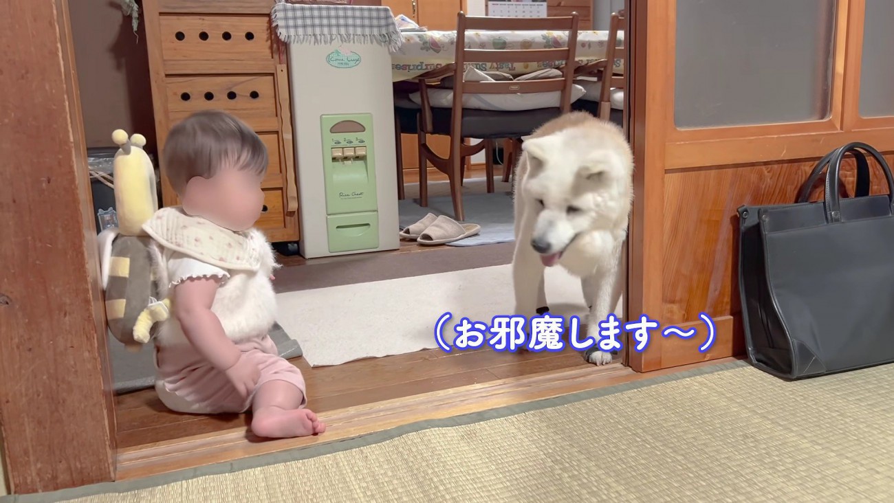 ちょっぴりオドオド