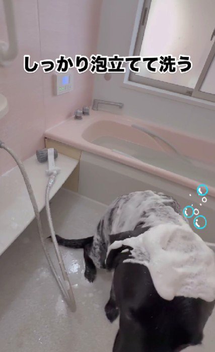 シャンプーで体を洗い…