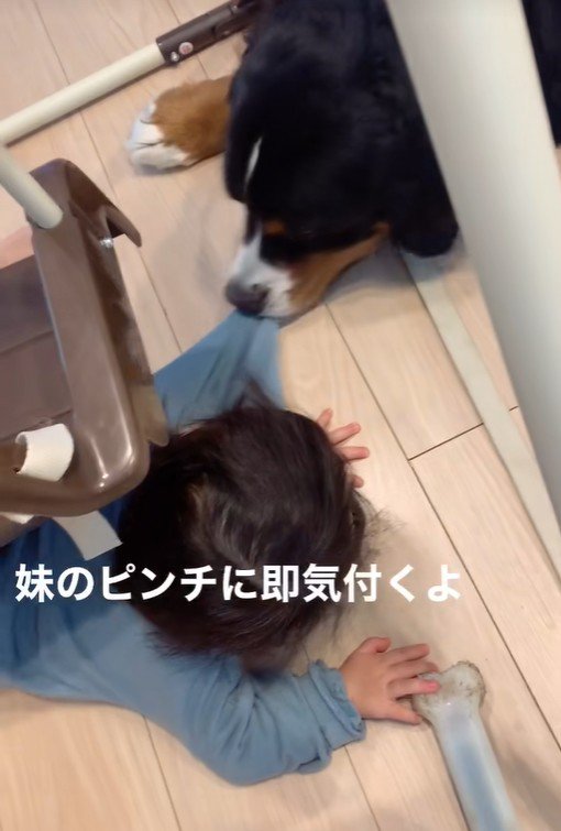 女の子を見守るダンロくん6