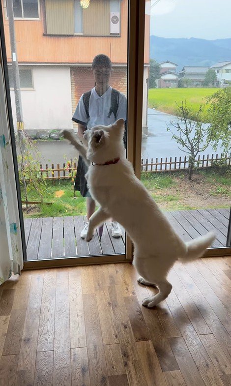 お姉ちゃんを引き止めたいまる君5