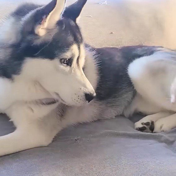 あれ？いなくなっちゃった…