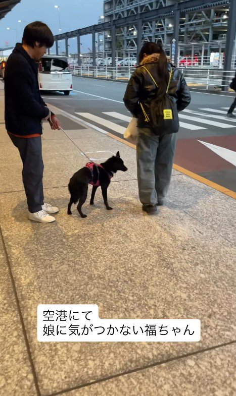娘さんが目の前を通過