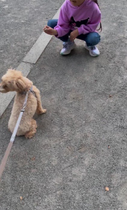 子供たちが一緒だと…