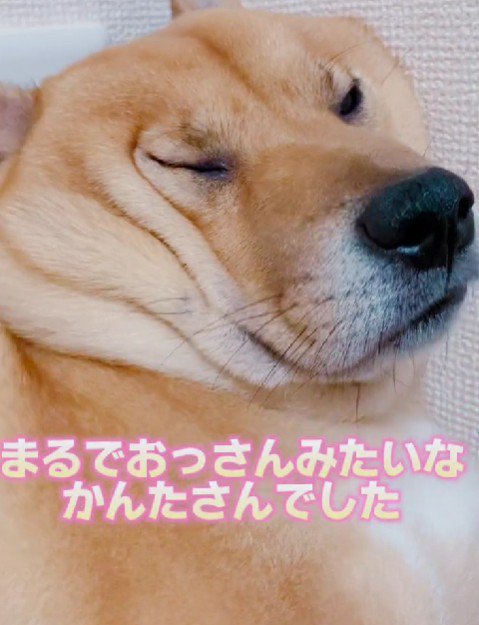 おじさんみたい！？