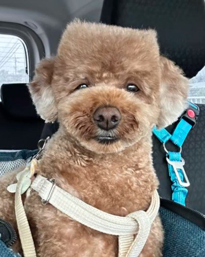 とっても魅力的です♡