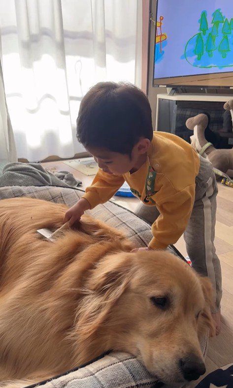 現在のオレオくんと弟くん4